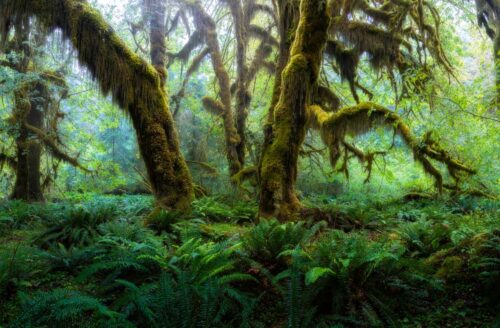 Washington State Nature Photography